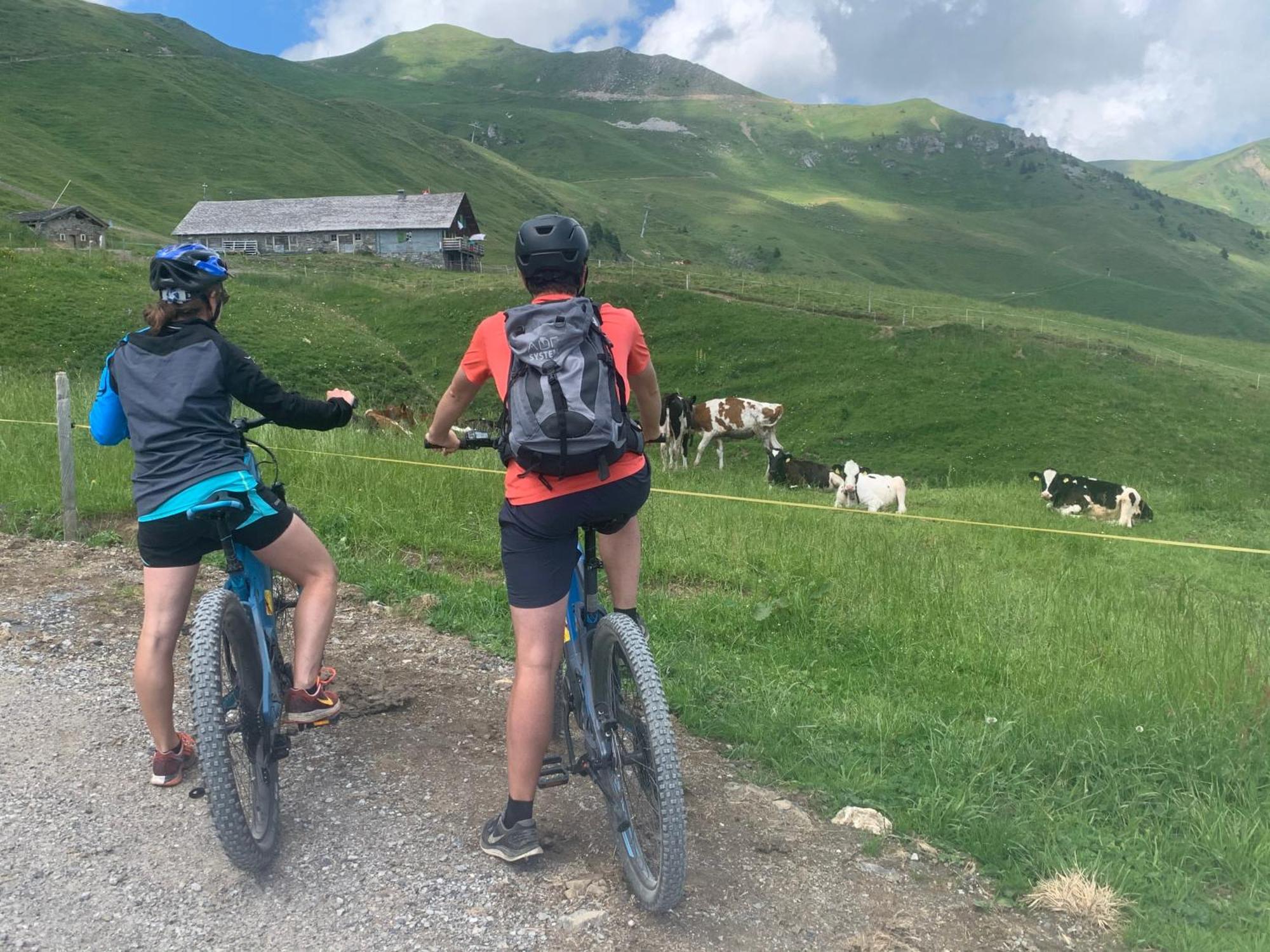 Chalet Montriond - Bike & Ski Les Crosets ภายนอก รูปภาพ