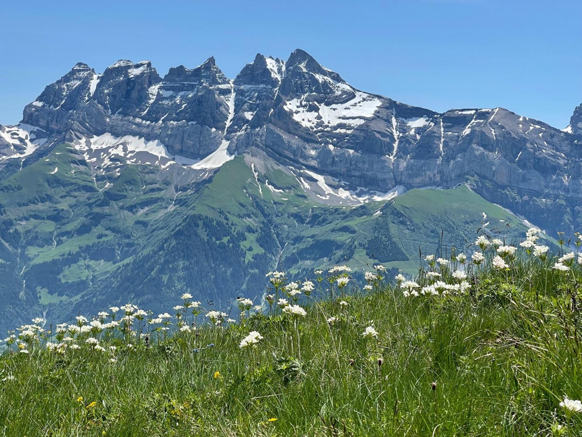 Chalet Montriond - Bike & Ski Les Crosets ภายนอก รูปภาพ